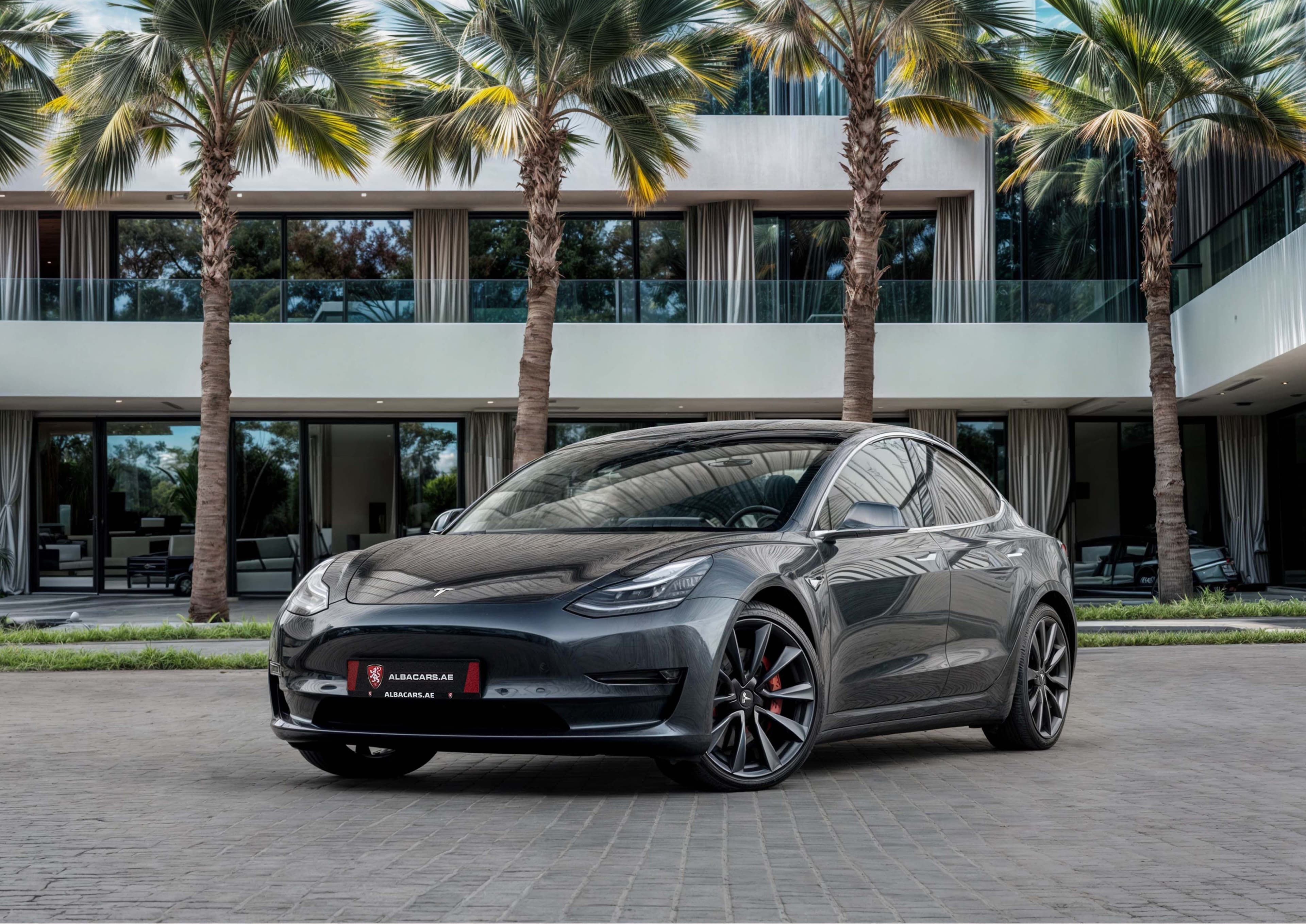 Tesla Model 3 PERFORMANCE