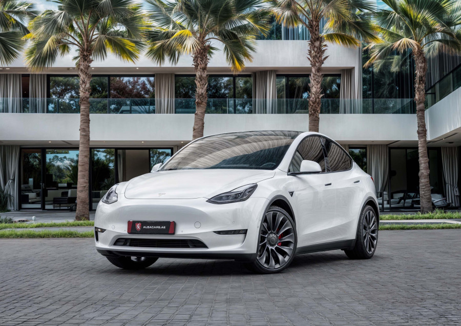 Tesla Model Y Performance